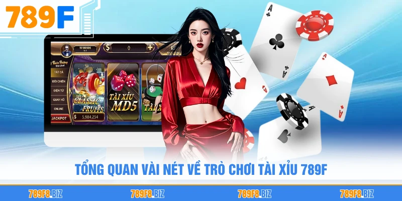 Tổng quan vài nét về trò chơi tài xỉu 789F